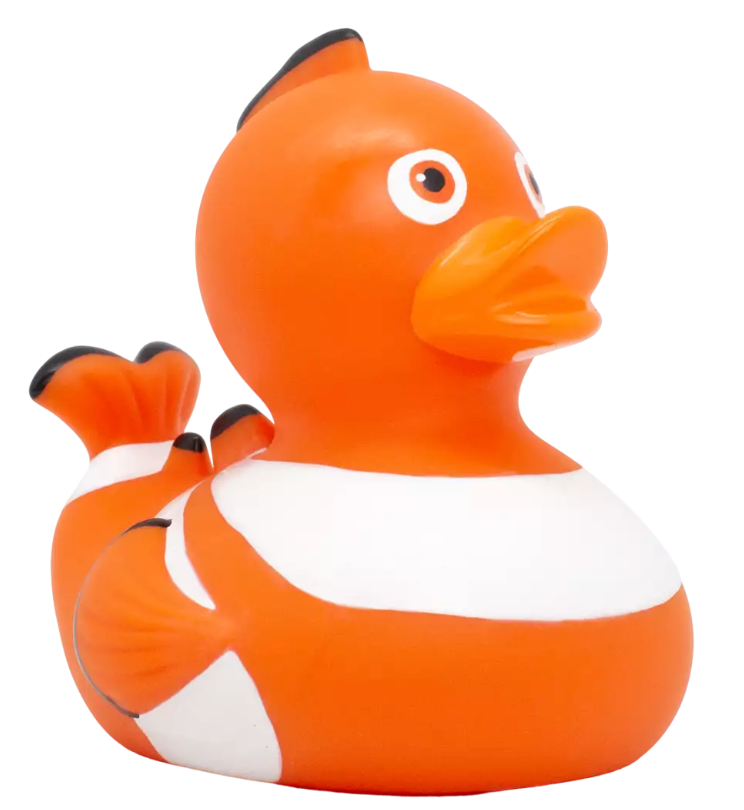 Clown Fish Duck