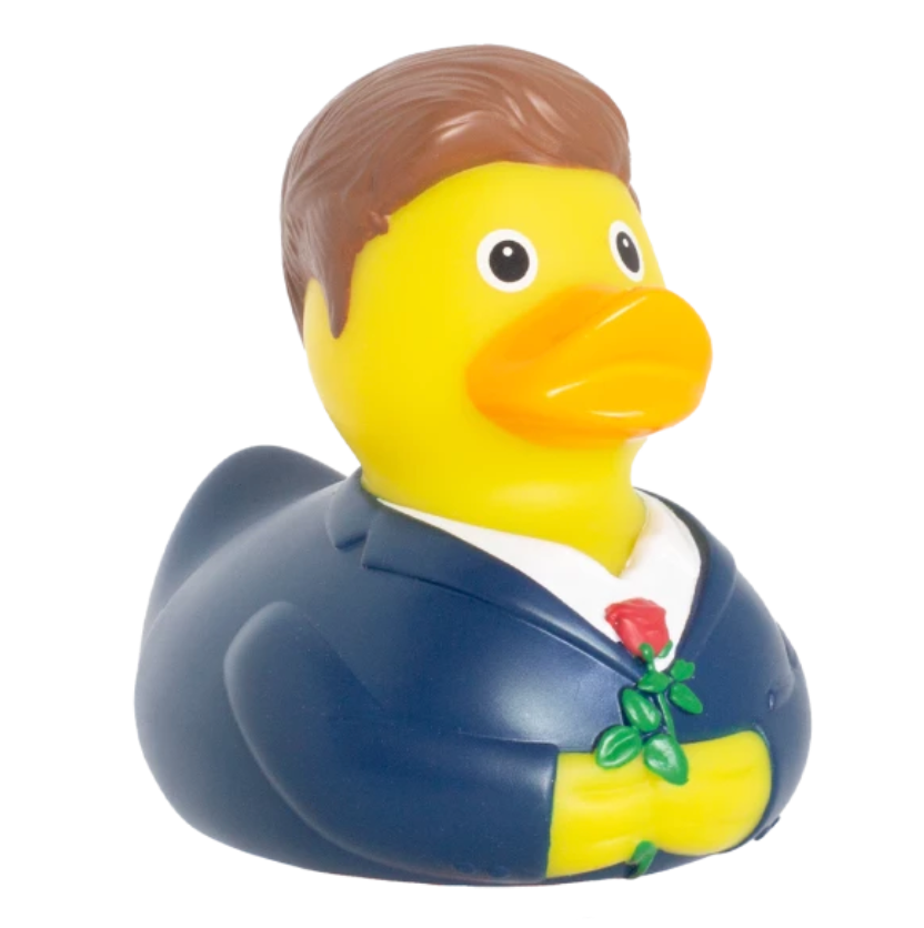 'The Bachelor' Duck