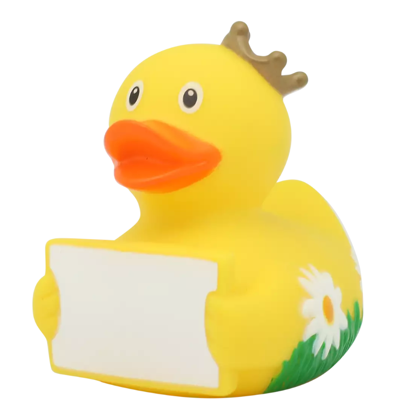 Duck with Greeting Sign