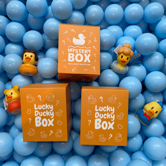 Lucky Ducky Disney Mystery Box