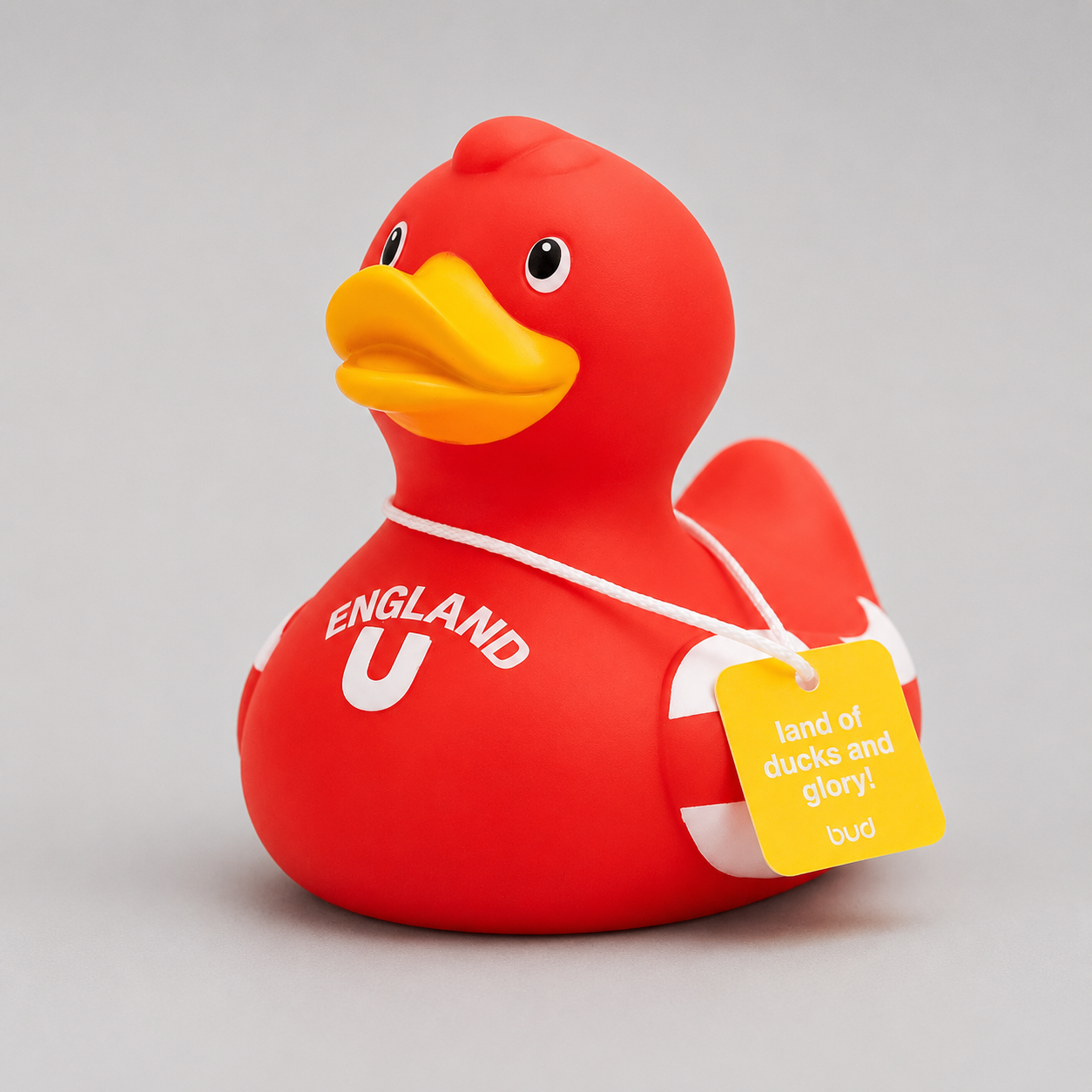 England Football Duck